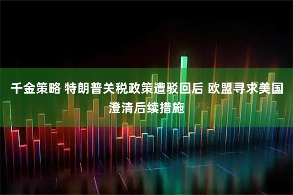 千金策略 特朗普关税政策遭驳回后 欧盟寻求美国澄清后续措施
