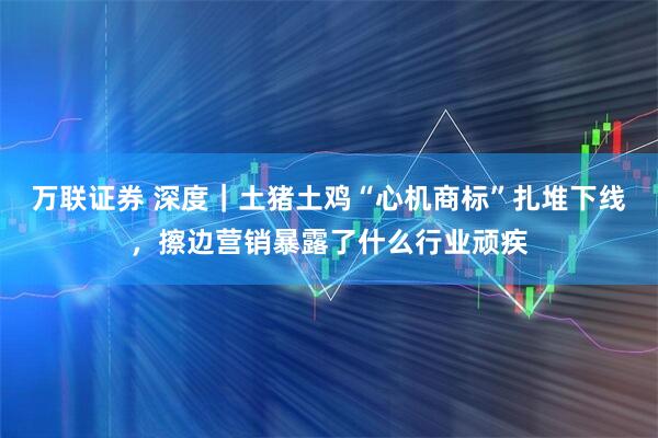 万联证券 深度｜土猪土鸡“心机商标”扎堆下线，擦边营销暴露了什么行业顽疾